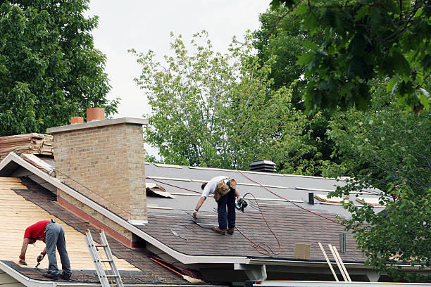 Roof Gutter Cleaning in Leisure Knoll, NJ