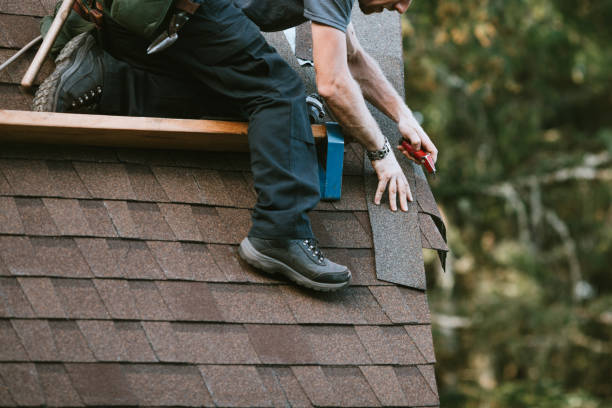 Best Local Roofing Companies  in Leisure Knoll, NJ